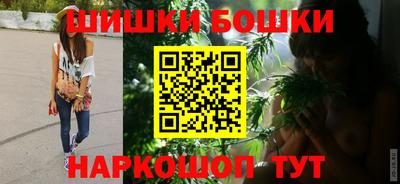 хмурый Кингисепп