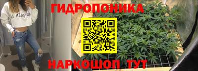мет Кимры