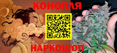 хмурый Кингисепп