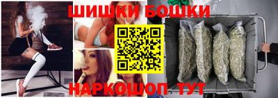 хмурый Кингисепп