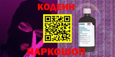 хмурый Кингисепп