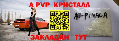 хмурый Кингисепп