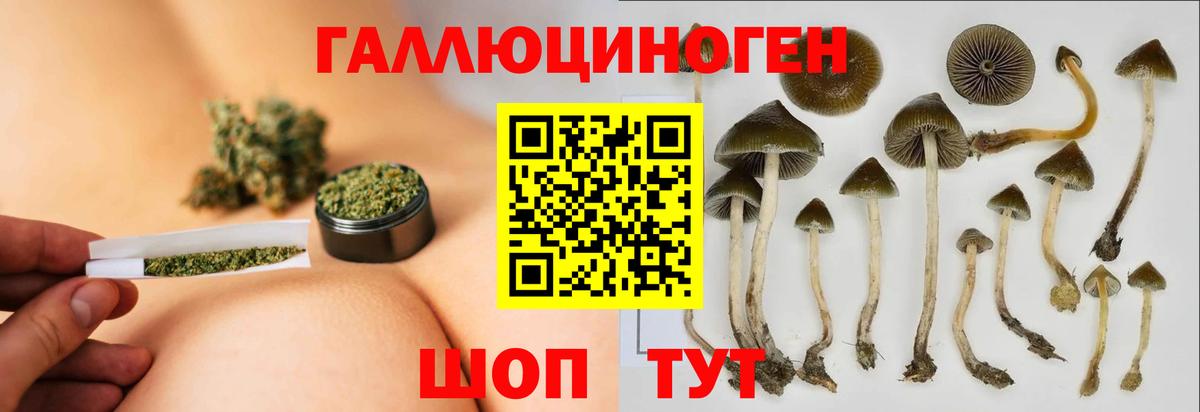 Псилоцибиновые грибы прущие грибы  цена наркотик  Галлюциногенные грибы Psilocybine cubensis  Кувандык  Вход с VPN 